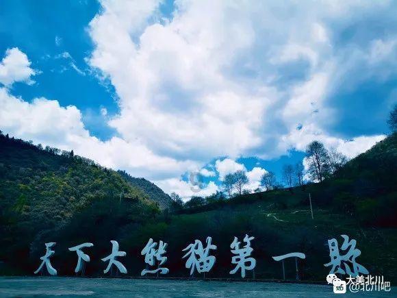 远征军：维京